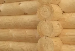 дом из оцилиндрованного бревна